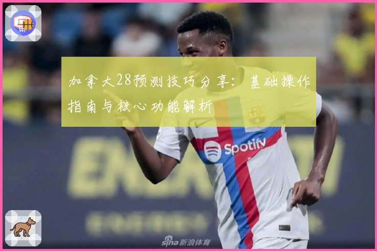 加拿大28预测技巧分享:基础操作指南与核心功能解析