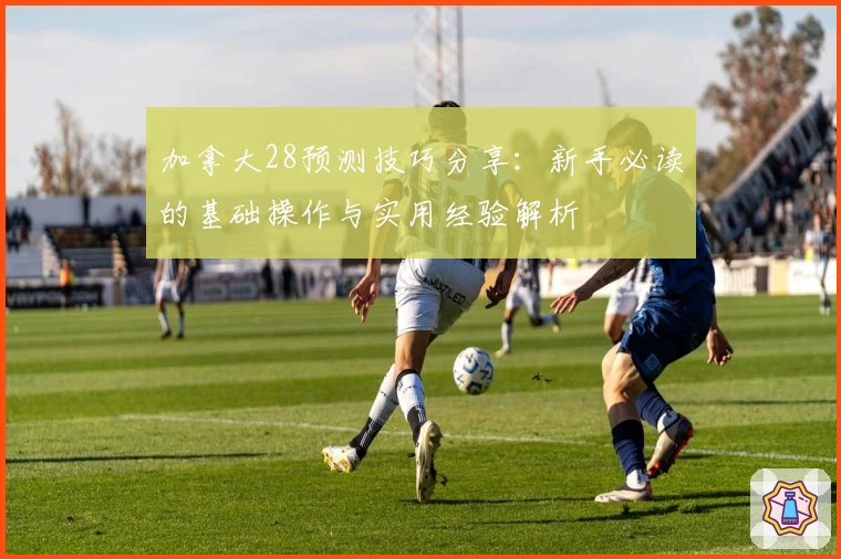 加拿大28预测技巧分享：新手必读的基础操作与实用经验解析