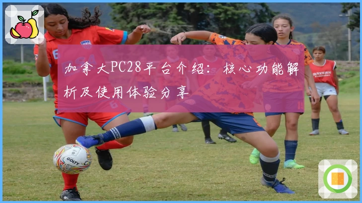 加拿大PC28平台介绍：核心功能解析及使用体验分享