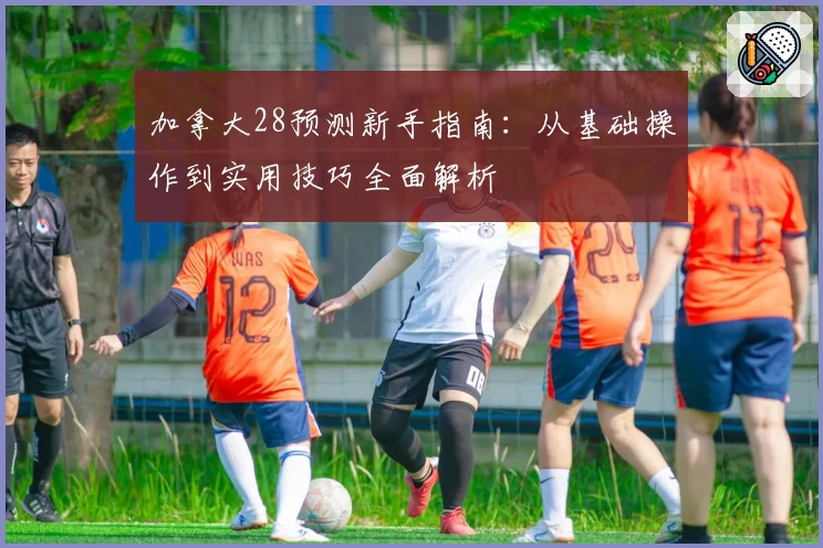 加拿大28预测新手指南：从基础操作到实用技巧全面解析