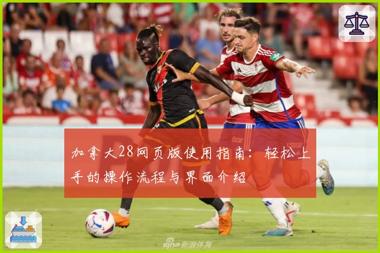 加拿大28网页版使用指南：轻松上手的操作流程与界面介绍