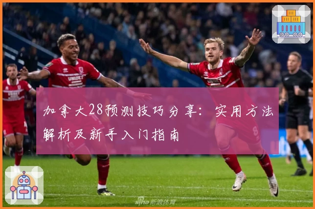 加拿大28预测技巧分享：实用方法解析及新手入门指南