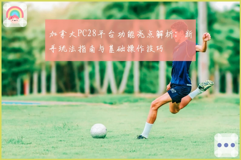 加拿大PC28平台功能亮点解析:新手玩法指南与基础操作技巧