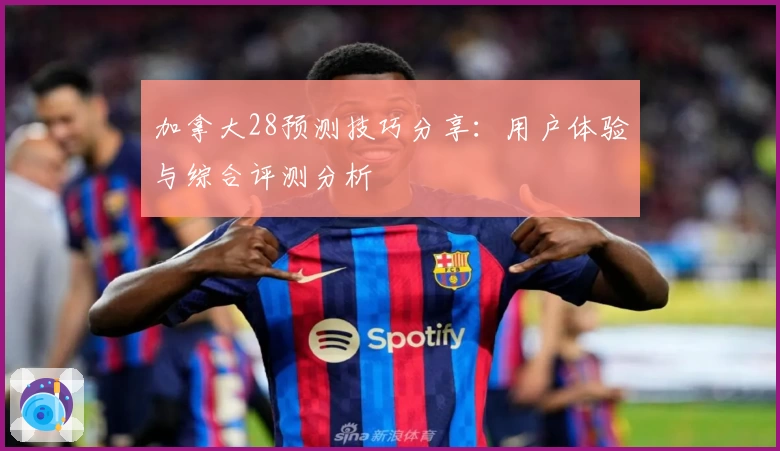 加拿大28预测技巧分享：用户体验与综合评测分析