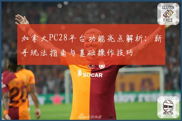 加拿大PC28平台功能亮点解析：新手玩法指南与基础操作技巧