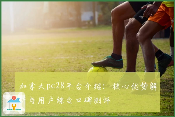 加拿大pc28平台介绍：核心优势解析与用户综合口碑测评