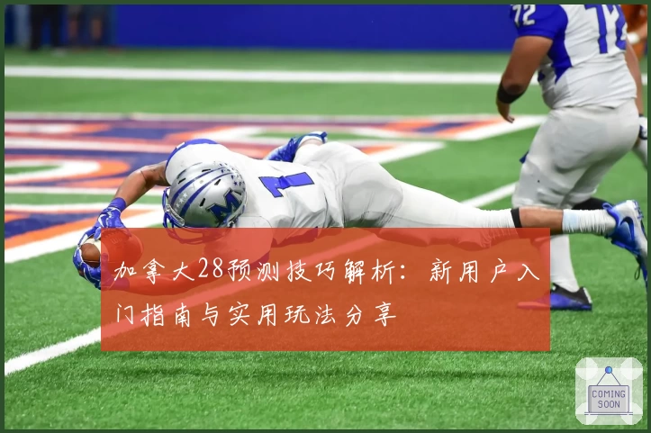 加拿大28预测技巧解析：新用户入门指南与实用玩法分享